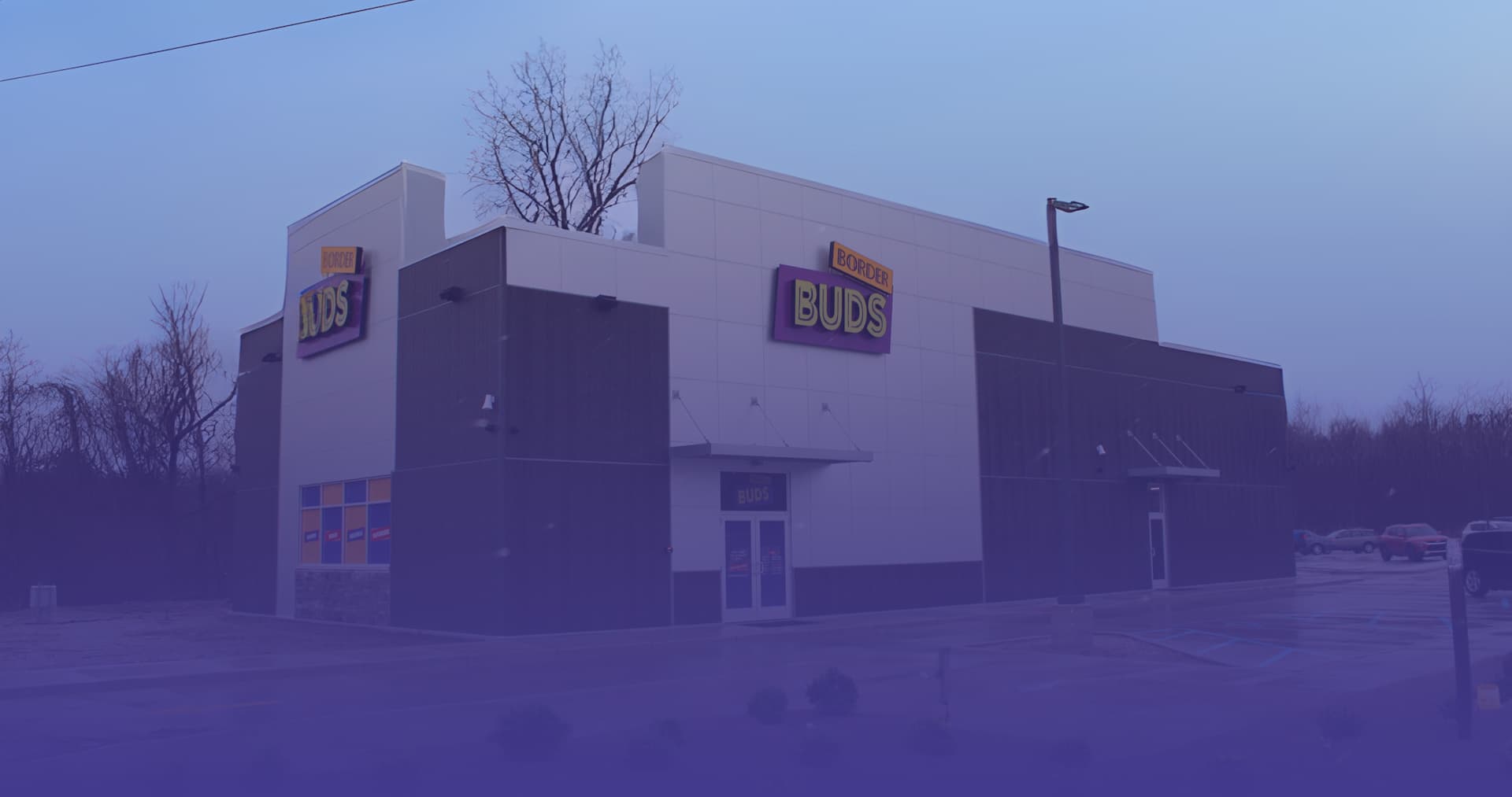 Border Buds email section image