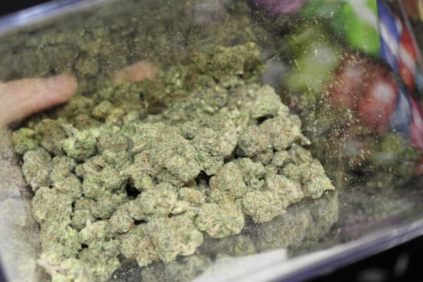 Border Buds in-store image 6